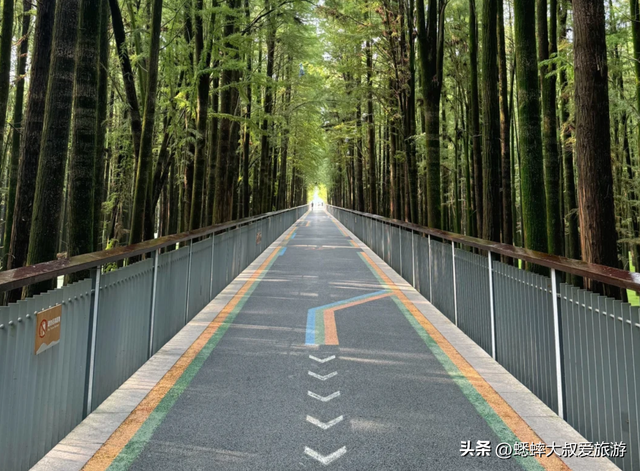 杭州秋日骑行路线推荐来了，六大主题笑开颜，关键还有特殊体验！