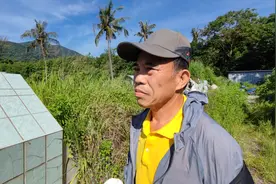 广东肇庆籍老兵李鑫离世多年，长眠台湾台东，静待亲人祭拜图片
