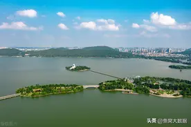 江苏徐州，王先生在云龙湖钓上168斤的大青鱼，现场20000元卖掉了图片
