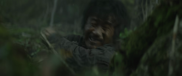 电视剧《归队》有多好看
