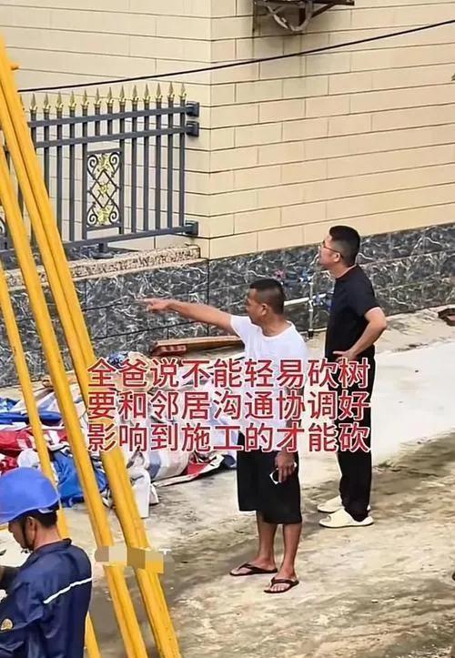 迈合村这事，新鲜！全村投票为全红婵家“让路”，她家反倒先摆手