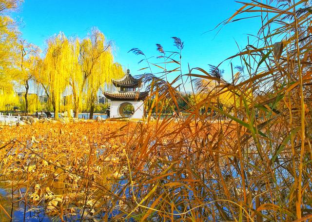 狂风散尽现碧空 北京市民陶然亭公园共赴“大风蓝”之约