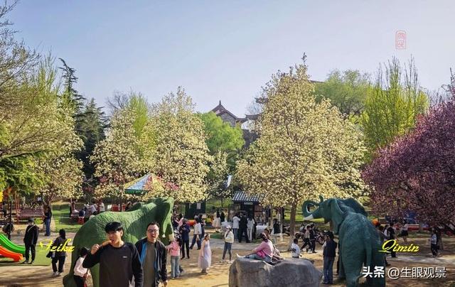 影记 | 春色春景之青州范公亭(上)