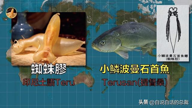 十多年老花胶多少钱 2026年十几年的花胶