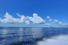 广东女生614分选了上海海关学院，因为家境拮据，追求稳定图片