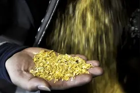 河南某农村有一种土，放玉米棒子就能炼出黄金？专家：这是真的！图片