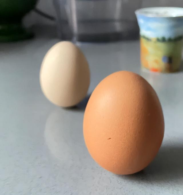 买鸡蛋时，挑干净的还是带鸡屎的？养殖户：都不对！