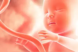 孕吐严重会导致胎儿缺营养吗？图片