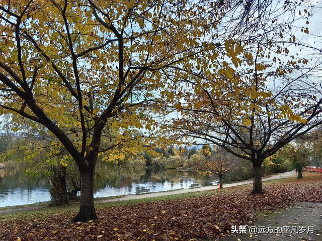 温哥华游记（一）