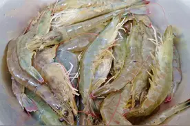 虾头里是“屎”还是“黄”，到底能不能吃？很多人不懂，答案来了图片