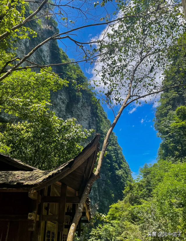 去张家界别只看天门山！这条路线娃玩得疯，大人也能偷会儿懒