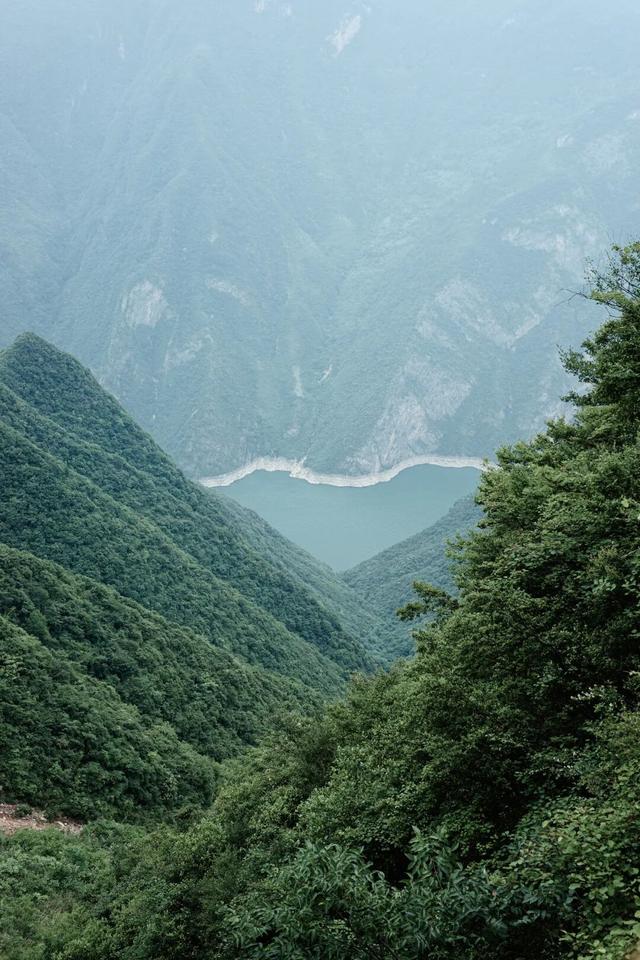除却巫山不是云，重庆旅行新体验又惊艳了…
