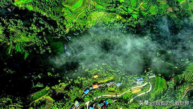 《西双版纳 澜沧行》左都佤山梯田云雾：天地间的水墨长卷