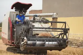 小伙意外穿越古代发明收割机，全国推广被皇帝接见奖赏！图片