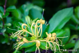 父母最失败的教育，就是自己做的2件错事，毁掉了孩子的未来图片