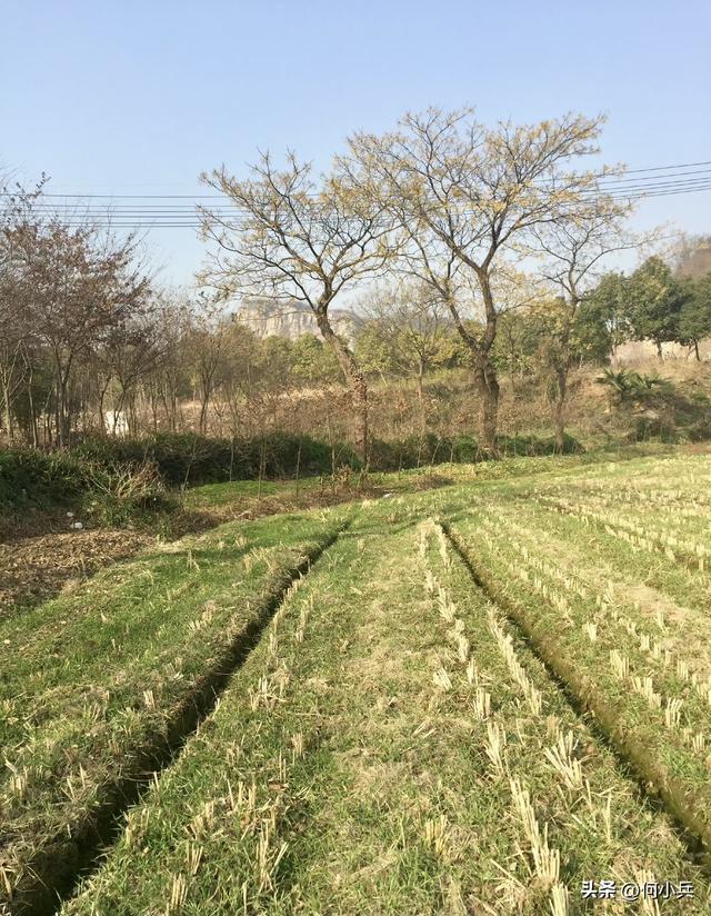 宜兴金沙寺：宰相隐居地，藏着千年江南密码