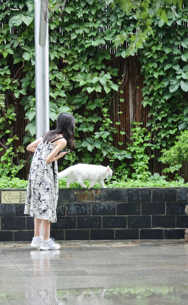 出发~