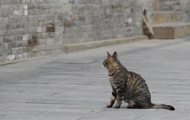 徜徉·太原古县城·太原