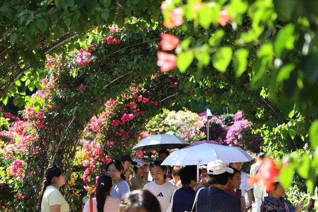 挤爆了！今天莲花山都是人人人，网友：感觉全深圳都来了！