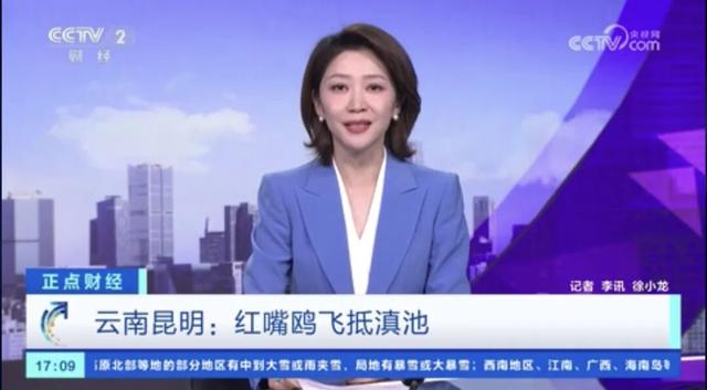 跟着央视三大频道一起赏昆明“限定款”秋色