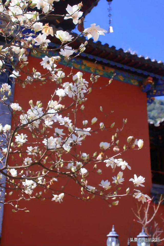 新晋顶流!「阴丹蓝+初雪白」,冬日昆明继续上分,你该换屏保了~