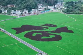 舒适度100%，兴义万峰林跟风成功！3天2晚亲子攻略建议收藏图片