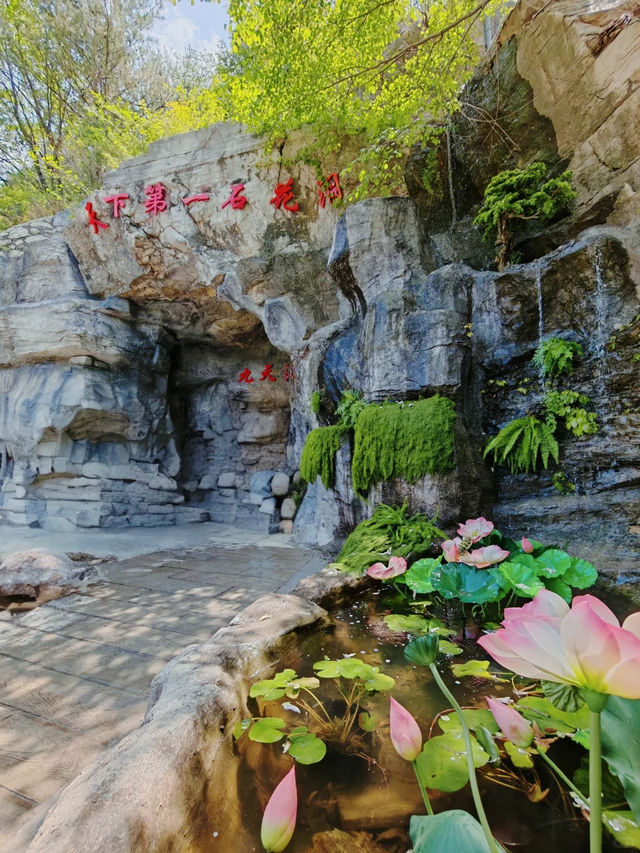 地下18℃ vs 地表40℃！快来山东地下溶洞避暑吧！