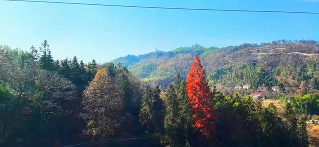 皖南初见（一）