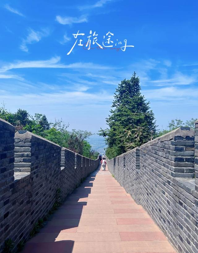 宜兴这条免费自驾线封神！竹海茶田连绵，零门票逛遍华东氧吧