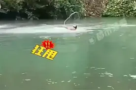 男子河里游泳遇到蛇，吓得抓起来狂甩数十次，拍摄者：最后蛇可能被甩晕了，一动也不动图片