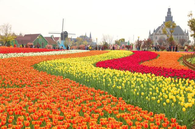 2026清明3天小长假全攻略：祭扫寄思+踏青寻春，错峰不挤超省心