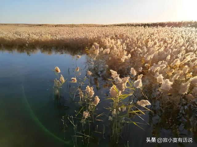 才觉深秋至，忽而已是冬