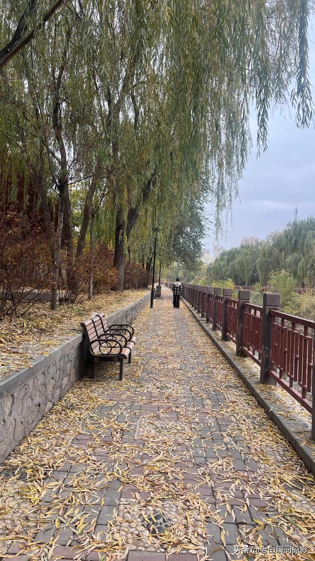 温柔缱绻的秋韵，兰州之美让季节变得更活泛了