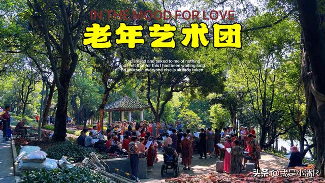 南宁人民公园半日游，一个免费的好地方！