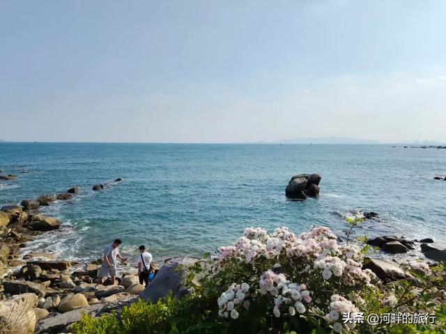 鱼鸣嘴,海阔天空
