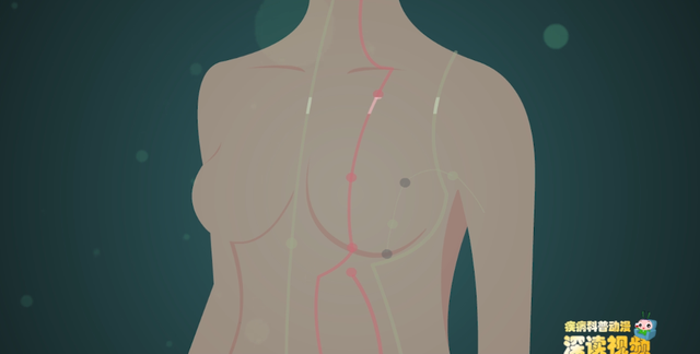 胸又痛咋办？确诊乳腺增生咋整？对乳房最好的权威治疗指南在这里