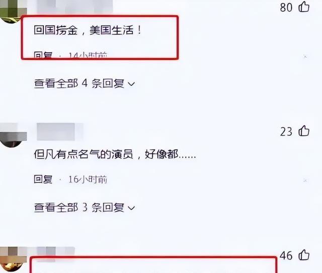 吃里扒外！定居美国13年，回国捞金惨遭“驱逐”，52岁活成了笑话