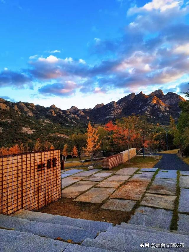 【乐游烟台】周末好去处丨热搜预定！烟台的秋天太上镜了！