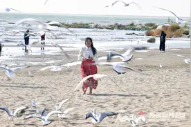 赏菊、观石、环湖自驾 国庆假期解锁新玩法图片