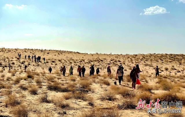 甘肃文旅新玩法大赏！去沙漠种树、当“壁画师”、看万面镜子追太阳……