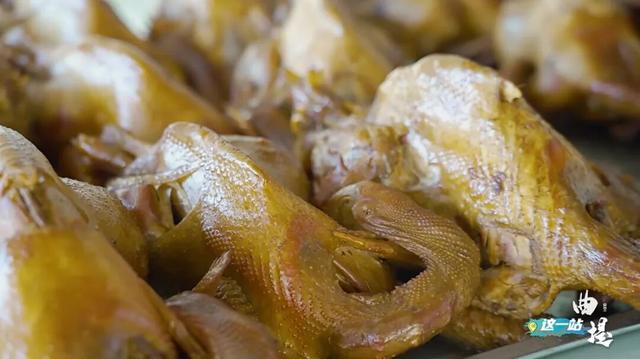 我的家乡我来记录，这一站——曲堤