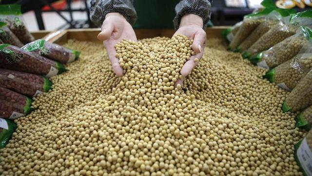 宁愿赔钱也要把粮食卖中国！美国的粮食垄断梦，如何被中国瓦解？