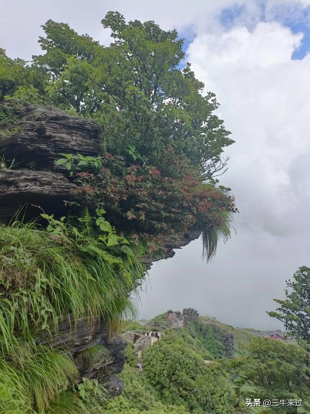 无为在歧路，贵州六日行（15）～梵净山