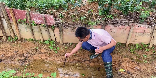 蚂蟥最害怕的东西原来是它，很多人都搞错了，一起看看吧