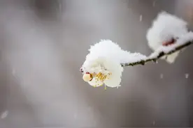 怎样判断一个人对你有好感？图片