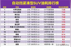 看完再买，紧凑型SUV油耗排行榜，荣放亚军，博越L第9，CR-V第21图片