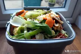 厨余垃圾不要丢，这样发酵成肥料不发臭，成本很低的图片