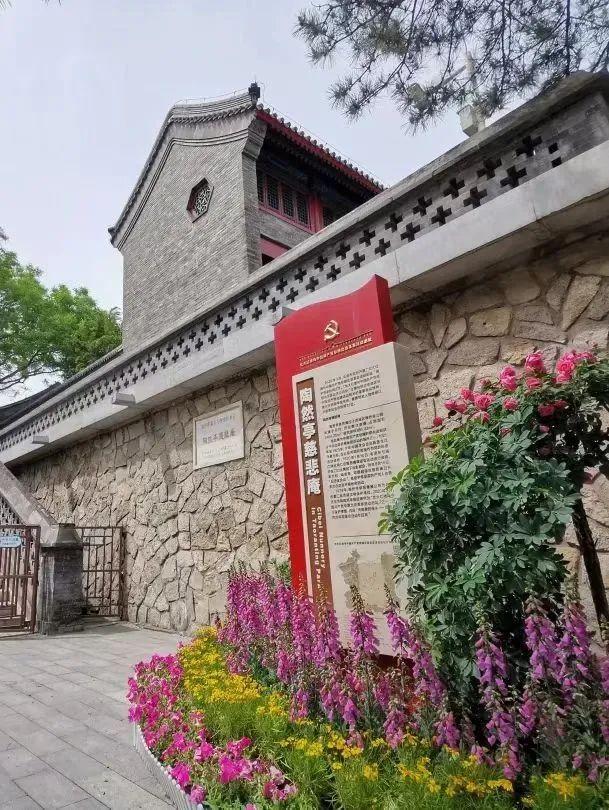 逛西城，到陶然亭公园打卡“隐藏点位”——