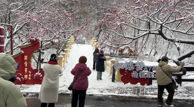 绝美雪景+免票福利！千山景区人气旺