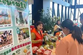 逆境绽芳华："90后"女孩吕秋彤的农业坚守与公益之路图片